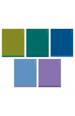 Тетрадь 96л кл пластобл PROстиль 96Т5В1пл Хатбер