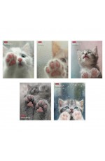 Тетрадь 48л кл Розовые лапки 48Т5В1 Хатбер