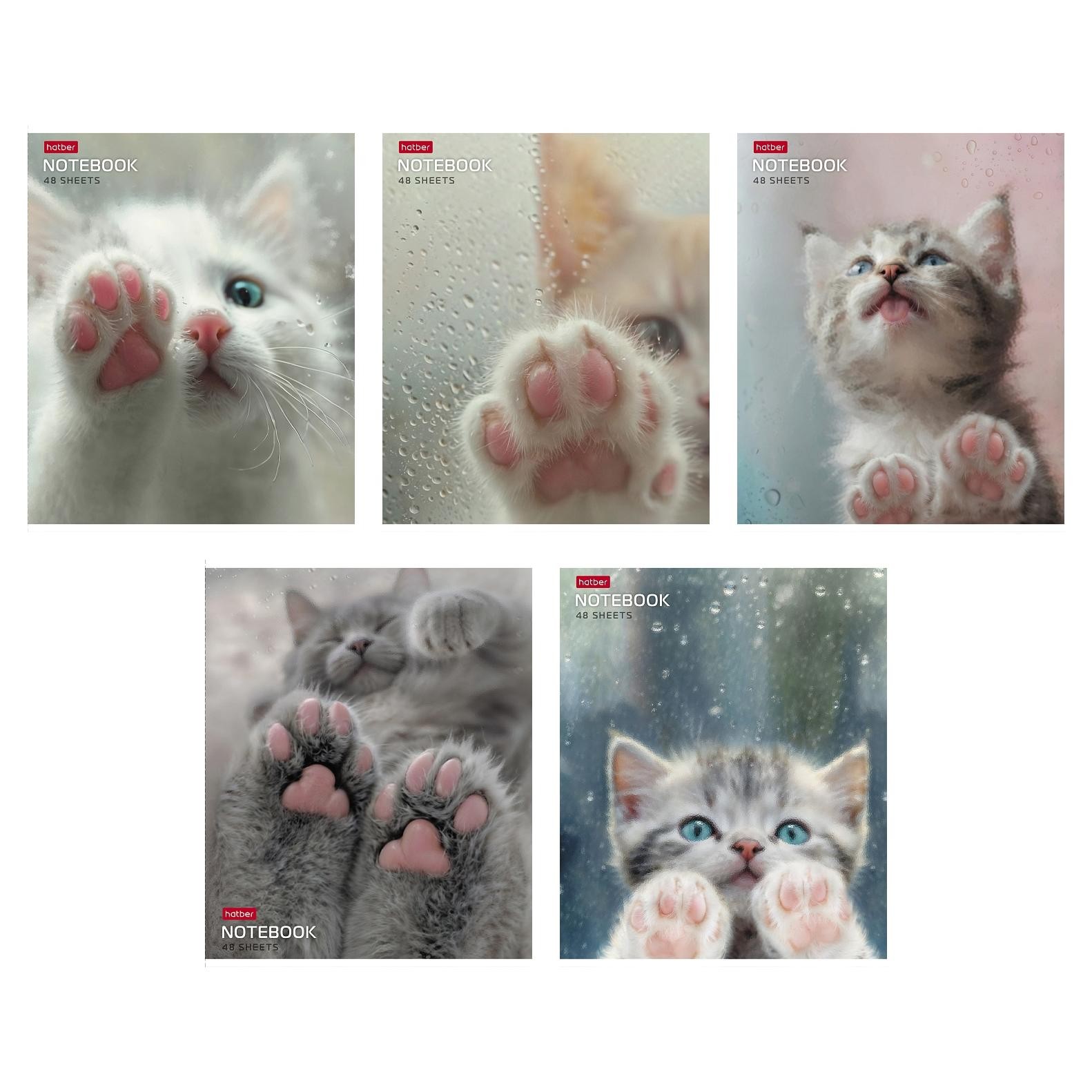 Тетрадь 48л кл Розовые лапки 48Т5В1 Хатбер