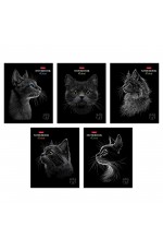 Тетрадь 48л кл Black Cat Хатбер