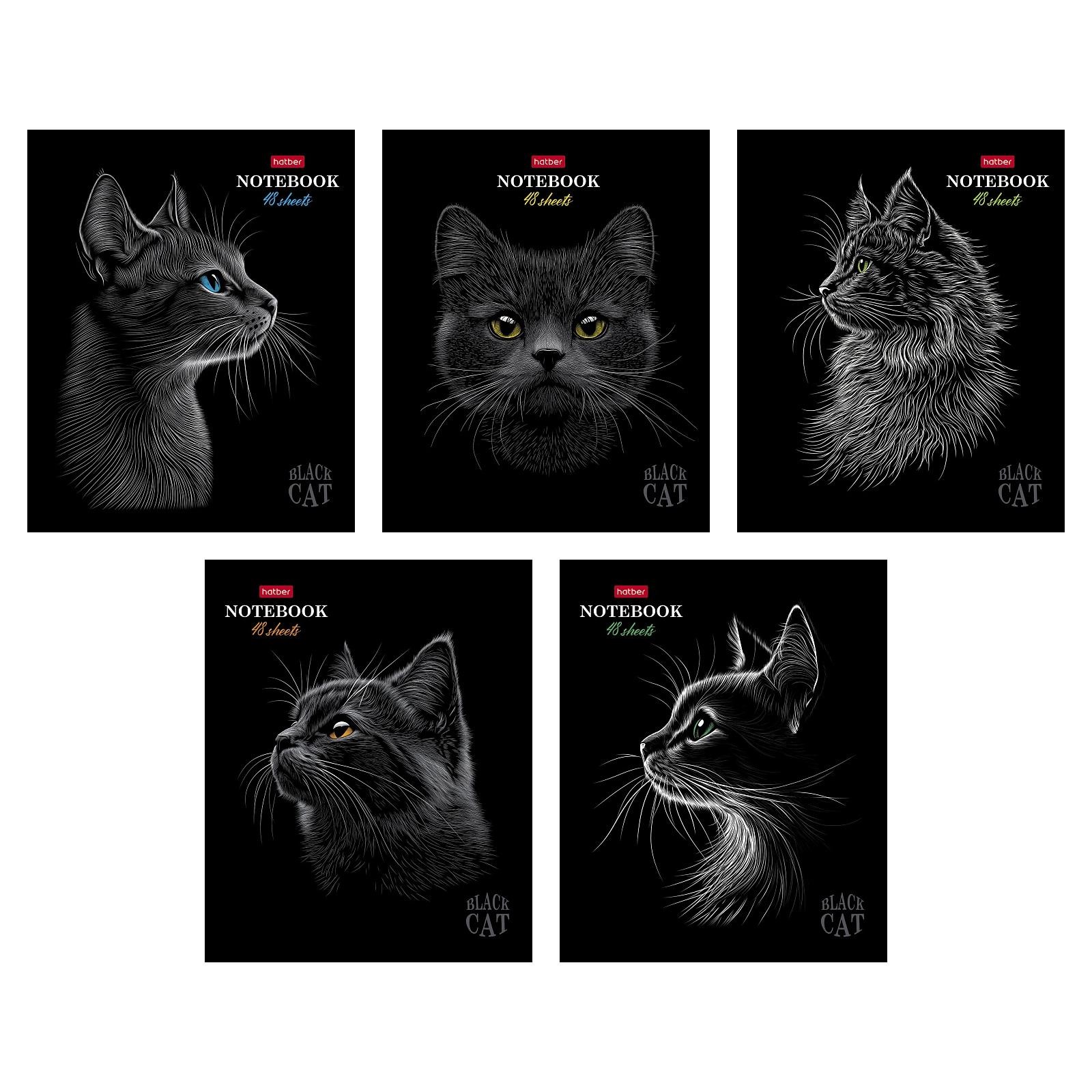 Тетрадь 48л кл Black Cat Хатбер