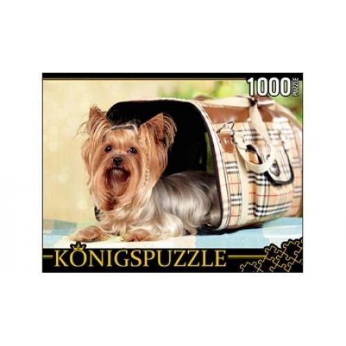 Пазл Konigspuzzle 1000эл Йоркширскийтерьер КБК1000-6468