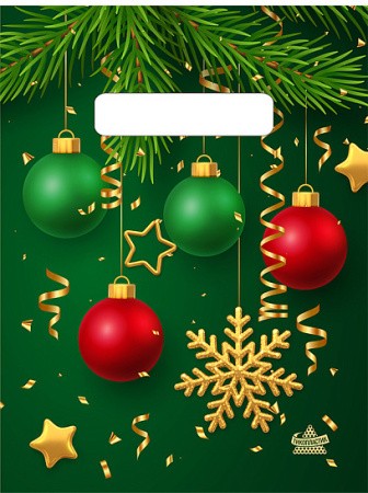 Пакет п/эт с вырубн ручк 19х25см (30) НГ Золотая снежинка Тикопластик