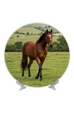 Тарелка Год Лошади 21 см № 0001 БП-1774