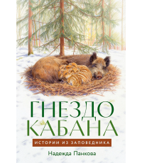 Панкова Гнездо кабана: Истории из заповедника