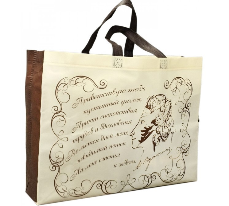 Сумка Пушкин BAG-PUSH