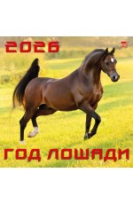 Календарь 2026 настенный 70622 Год лошади
