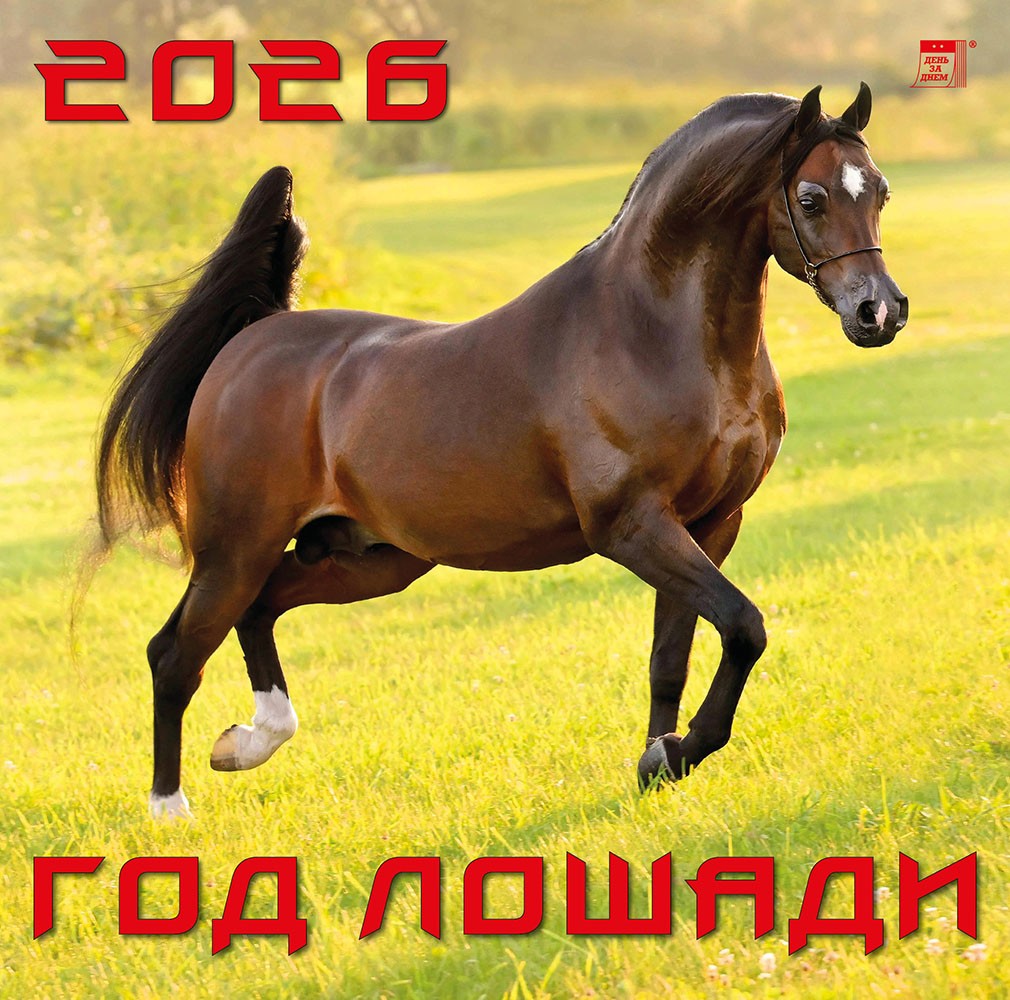 Календарь 2026 настенный 70622 Год лошади