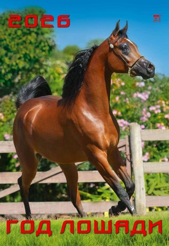 Календарь 2026 настенный 12617 Год лошади