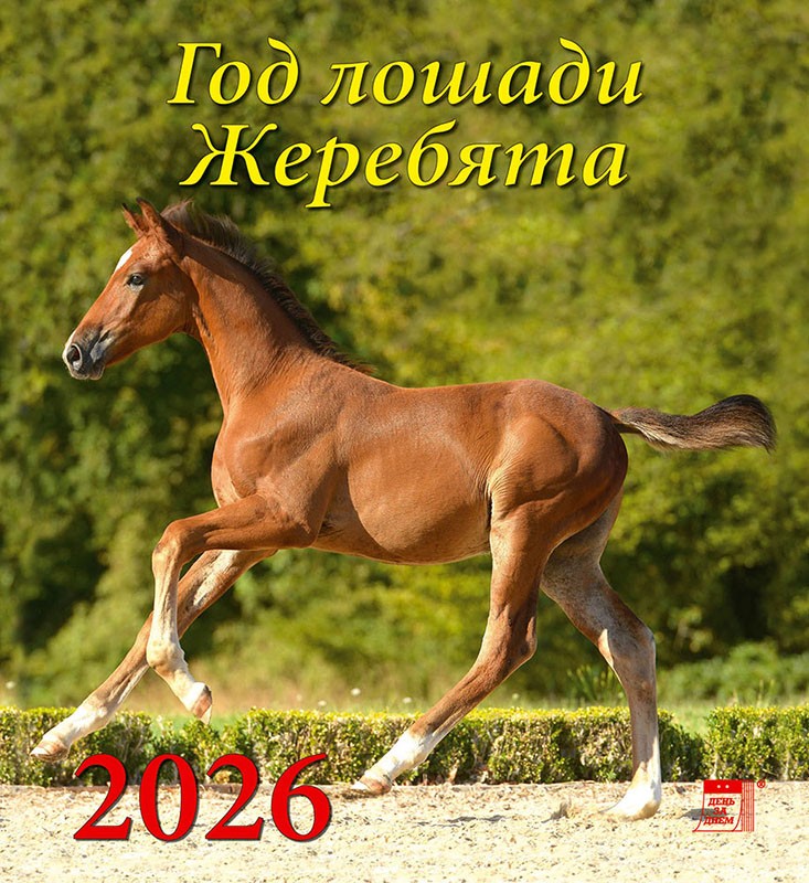 Календарь 2026 настенный 45607 Год лошади Жеребята