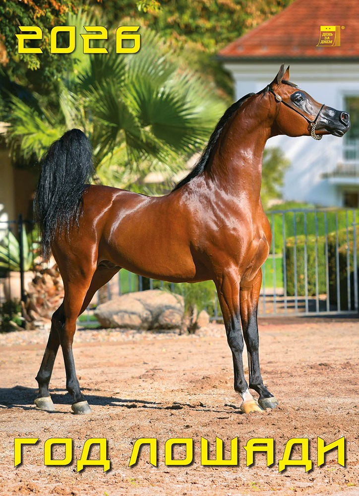 Календарь 2026 настенный 11601 Год лошади