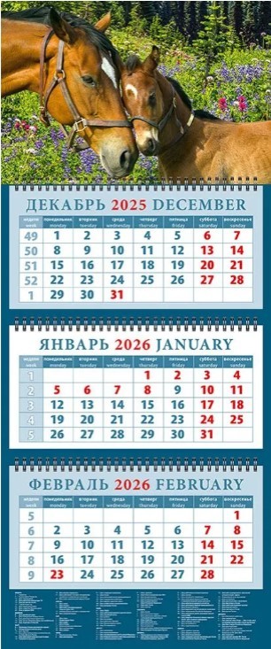 Календарь 2026 кварт. на 3-х спирс курс 14606 Год лошади Нежность