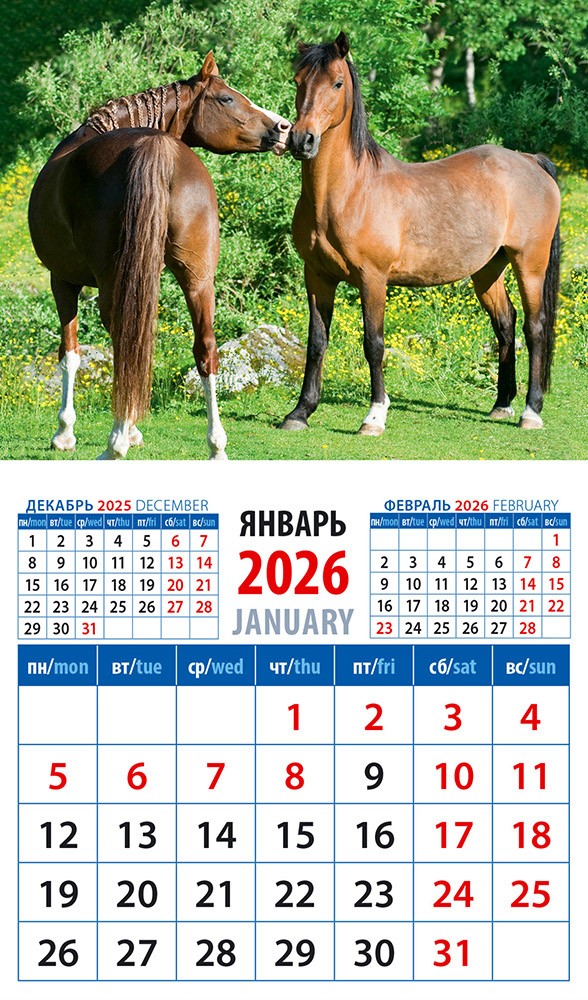 Календарь 2026 магнитный 20634 Год лошади Сладкая парочка