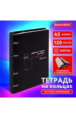 Тетрадь на кольц А5 120л кл Просто кот 404723 Brauberg