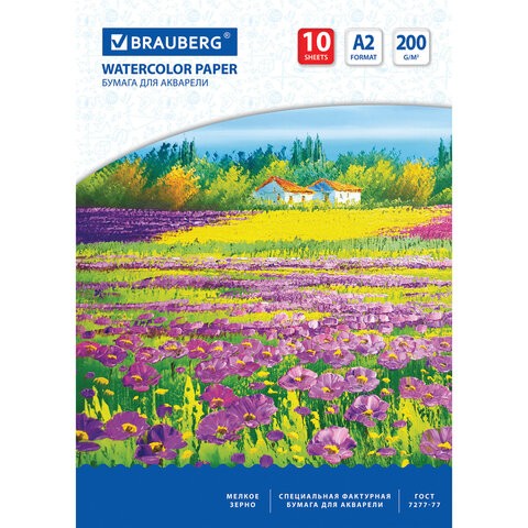 Папка для акварели А2 10л 200г/м Луг 111062 Brauberg