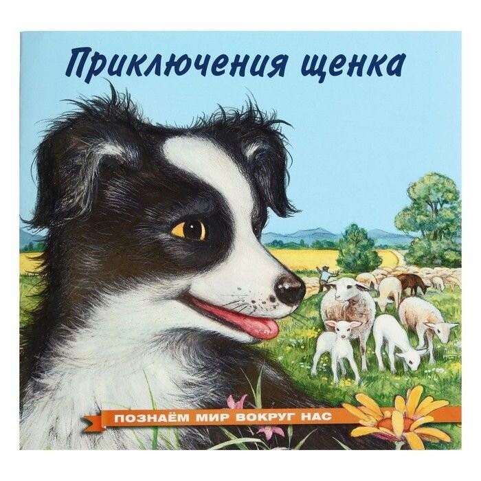 Гурина Приключения щенка Познаем мир вокруг нас