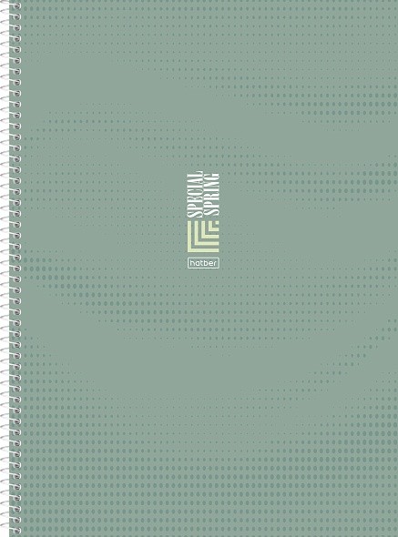 Тетрадь А4 160л кл многоурперфспиртвоблSpecial Spring 33399 Хатбер