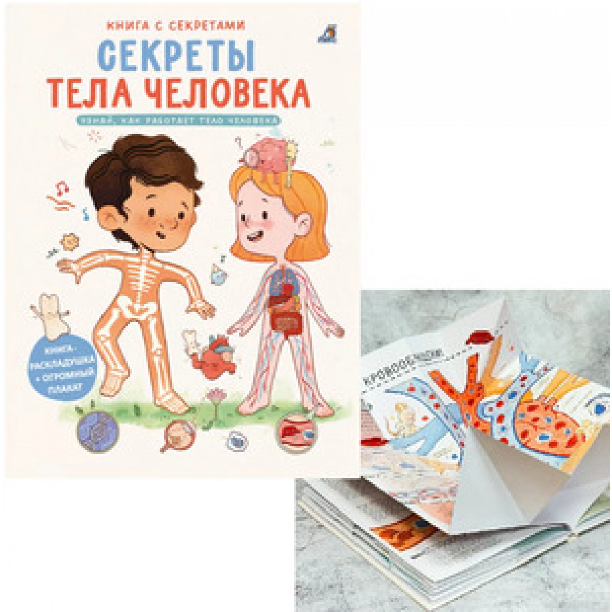 Секреты тела человека Книга с секретами