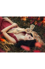 Мозаика алмаз 30х40см Сова-сипуха и девушка WL054 Рыжий кот