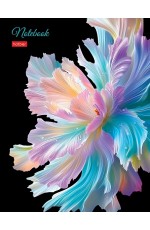 Тетрадь 80л кл 5цвблок твобл Хрупкие лепестки 35528 Хатбер