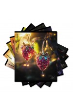 Тетрадь 96л кл Стекловидный 65239 Erich Krause