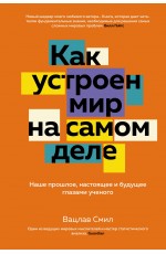 Как устроен мир на самом деле. Наше прошлое, настоящее и будущее глазами ученого