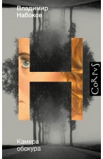 Камера обскура