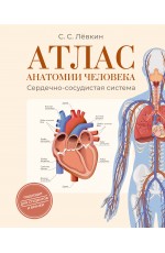 Атлас анатомии человека. Сердечно-сосудистая система