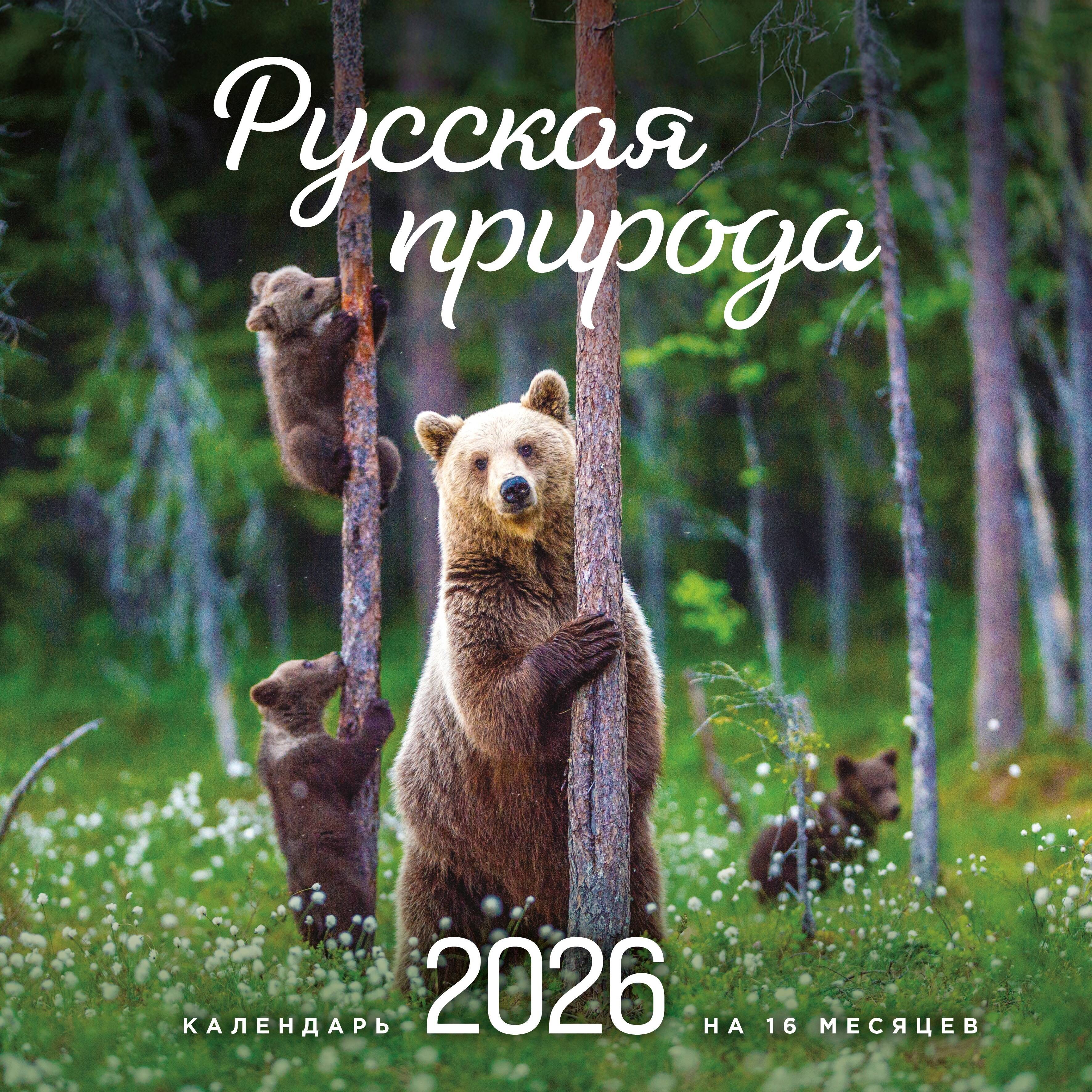 Русская природа. Календарь настенный на 16 месяцев на 2026 год (300х300 мм) Русская природа. Календарь настенный на 16 месяцев на 2026 год (300х300 мм)