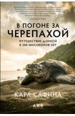 В погоне за черепахой: Путешествие длиной в 200 миллионов лет