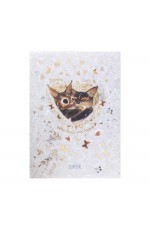 Папка-уголок А4 пласт Love me Котики приносят счастье 14-038/09 Bruno Visconti