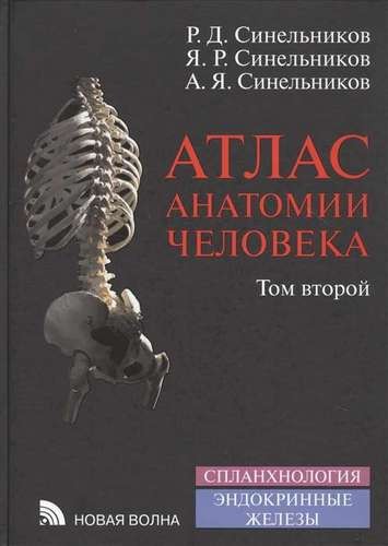 Синельников Атлас анатомии человека в 4-х томах (Том 2)