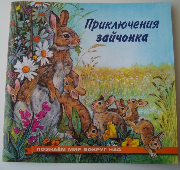 Гурина Приключения зайчонка Познаём мир вокруг нас