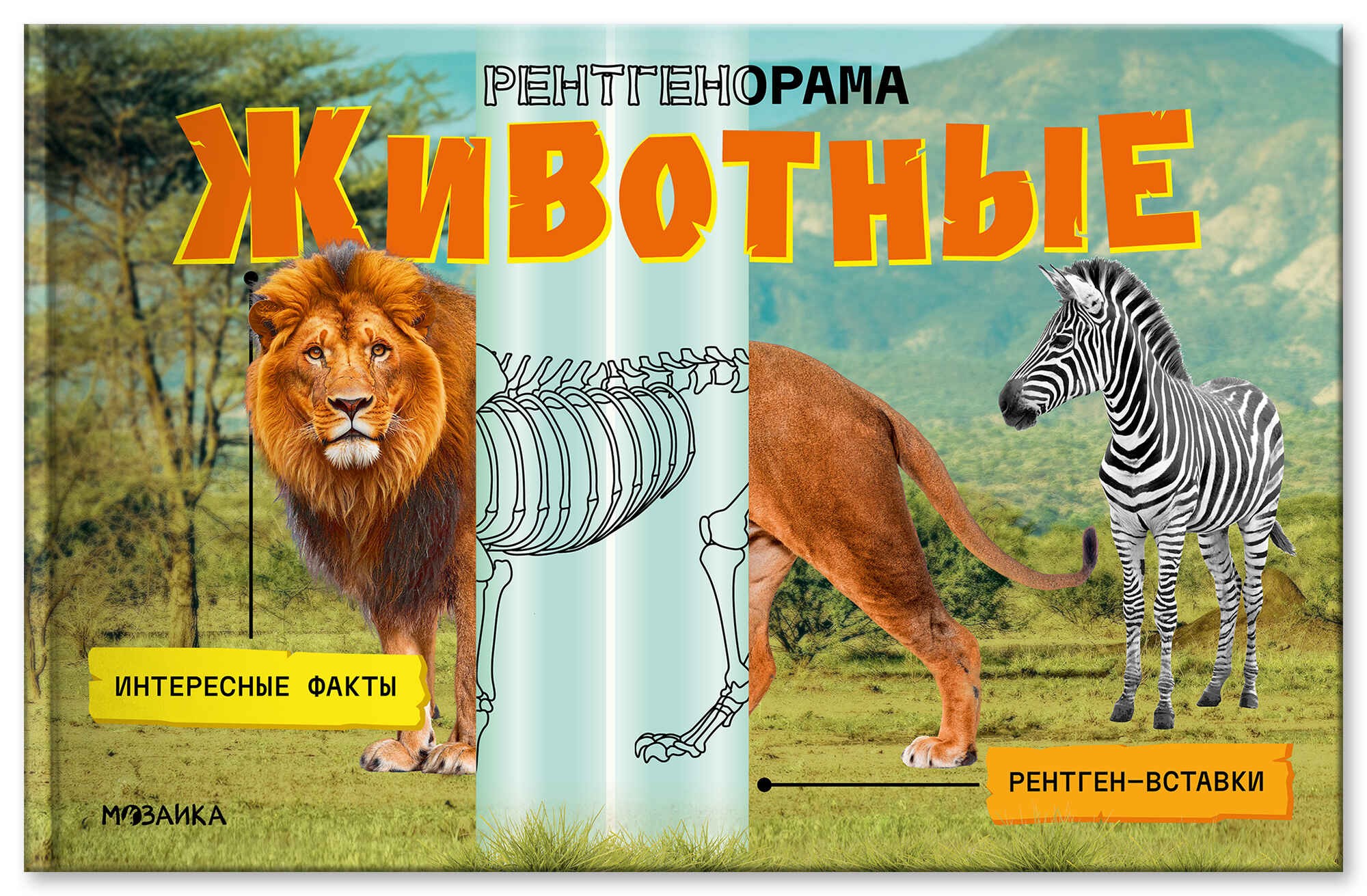 Рентгенорама Животные