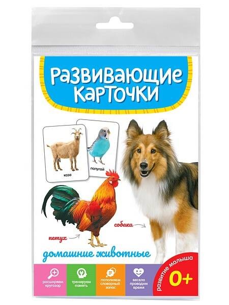 РАЗВИВАЮЩИЕ КАРТОЧКИ. ДОМАШНИЕ ЖИВОТНЫЕ
