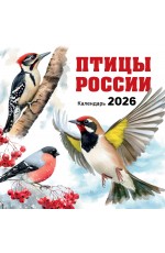 Птицы России. Календарь настенный на 2026 год (300х300 мм) Птицы России. Календарь настенный на 2026 год (300х300 мм)