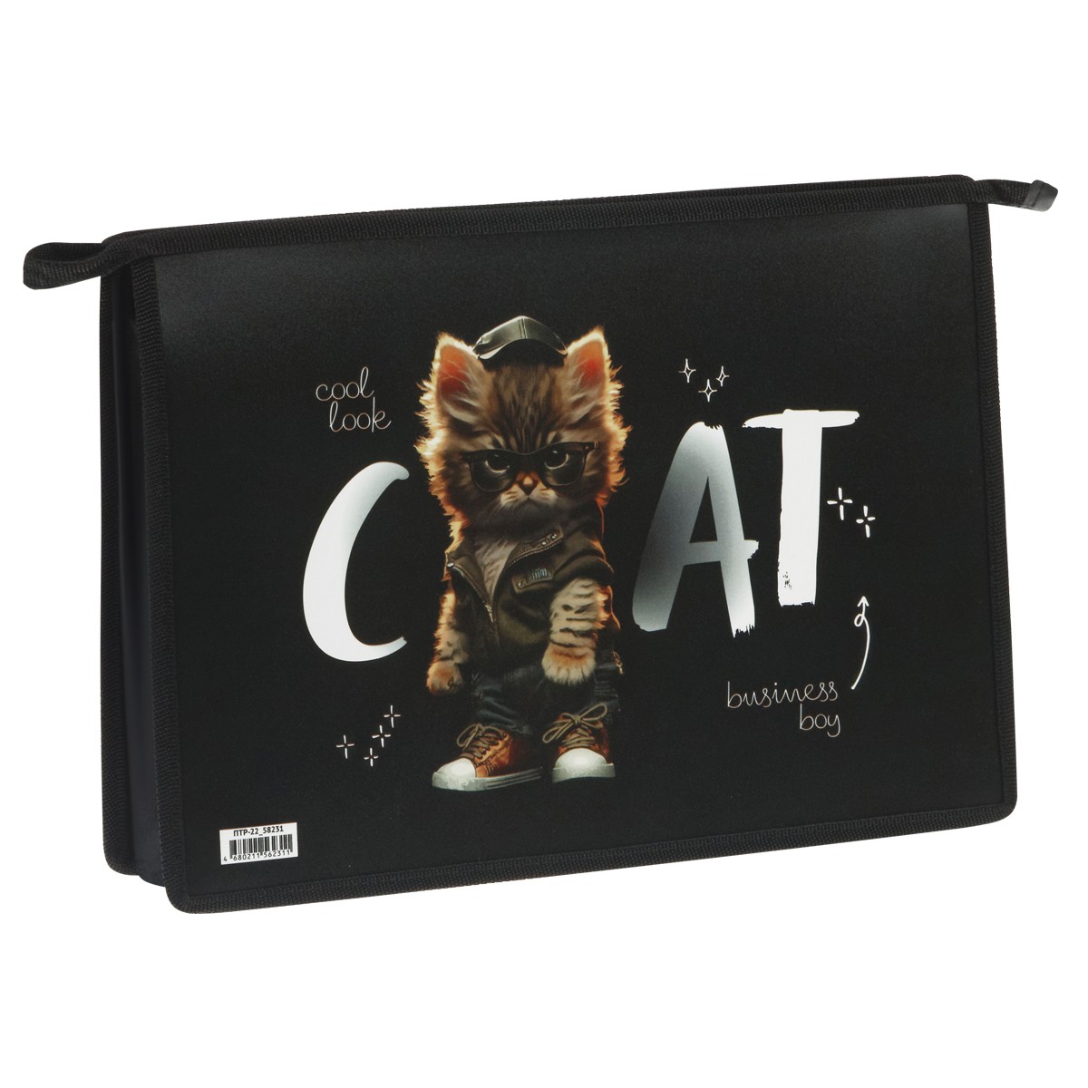 Папка для труда 2 отделения, А4, ArtSpace Cat life, пластик, на молнии