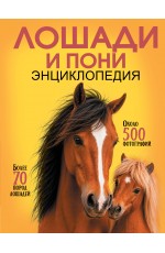 Лошади и пони