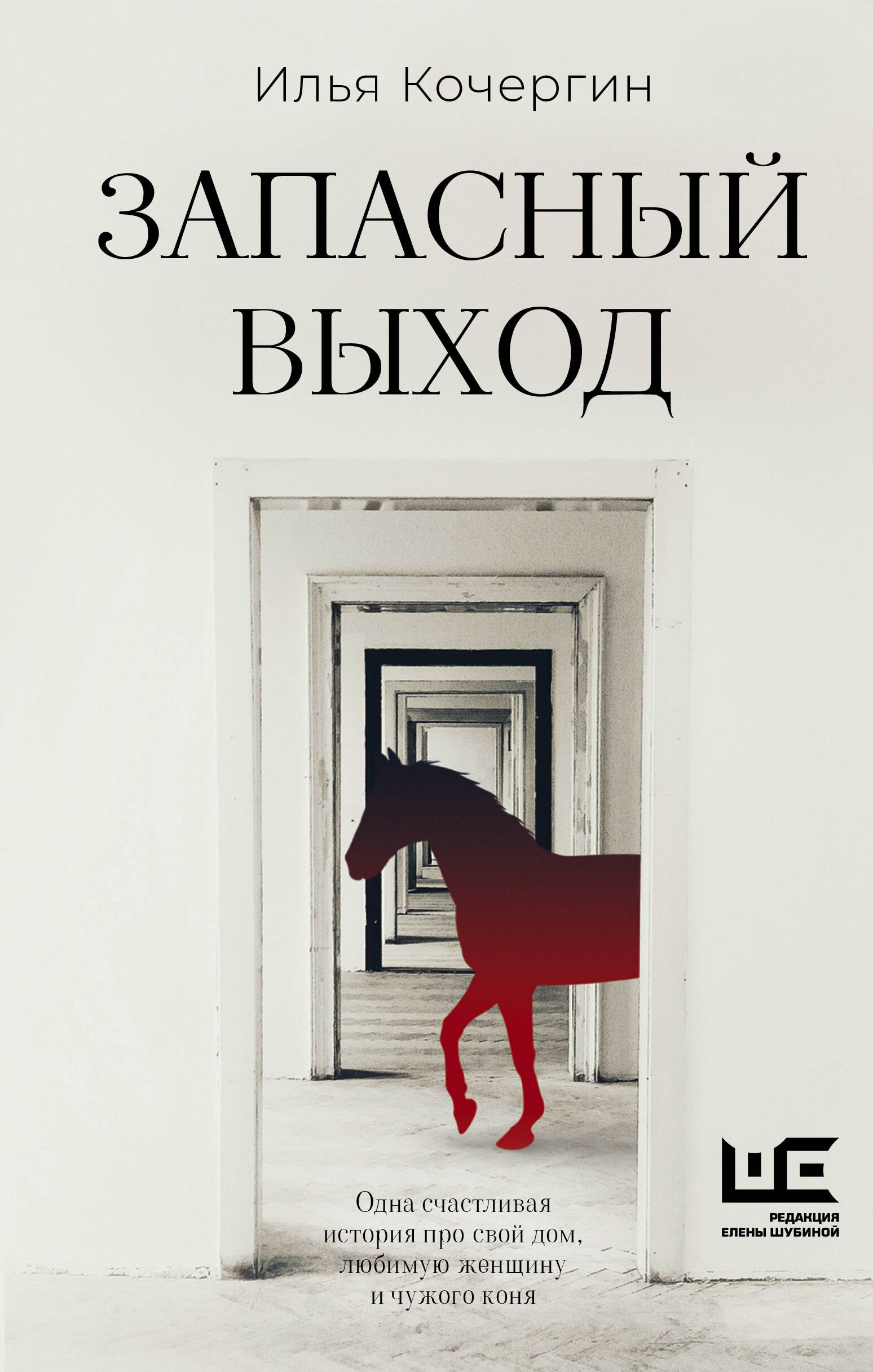 Кочергин Запасный выход