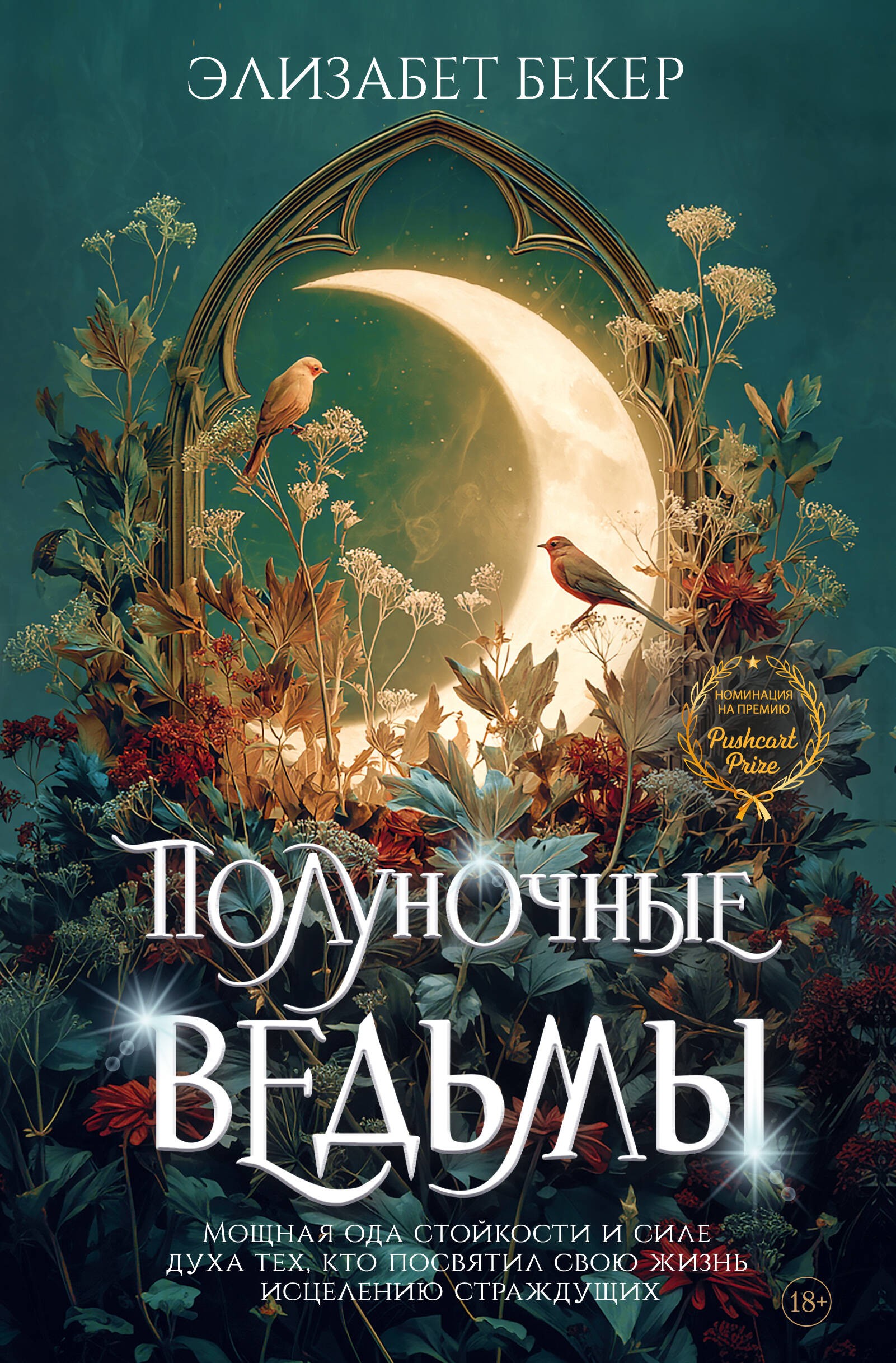 Полуночные ведьмы