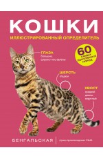 Кошки. 60 самых популярных пород. Иллюстрированный определитель