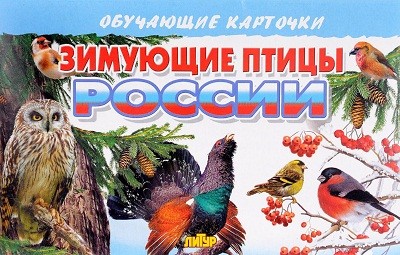 Зимующие птицы России