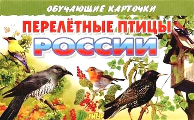Перелётные птицы России