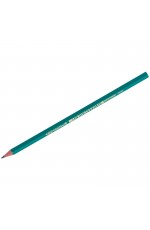 Карандаш ч/г Bic Evolution HB, заточен., пластиковый