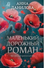 Маленький дорожный роман