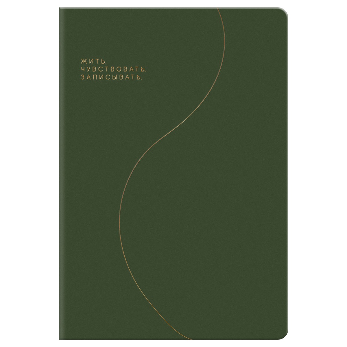 Записная книжка А5, 96л., BG Смыслы, кожзам, линия, зеленый
