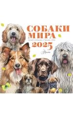 Собаки мира. Календарь для детей на 2025 год