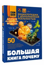 Хомич Большая книга почему