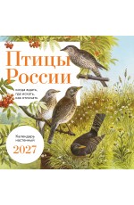Птицы России: когда ждать, где искать, как отличать. Календарь настенный на 2027 год (300х300 мм)