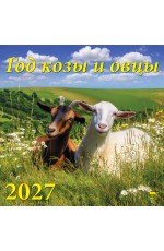 Календарь 2027 настенный 70721 Год козы и овцы
